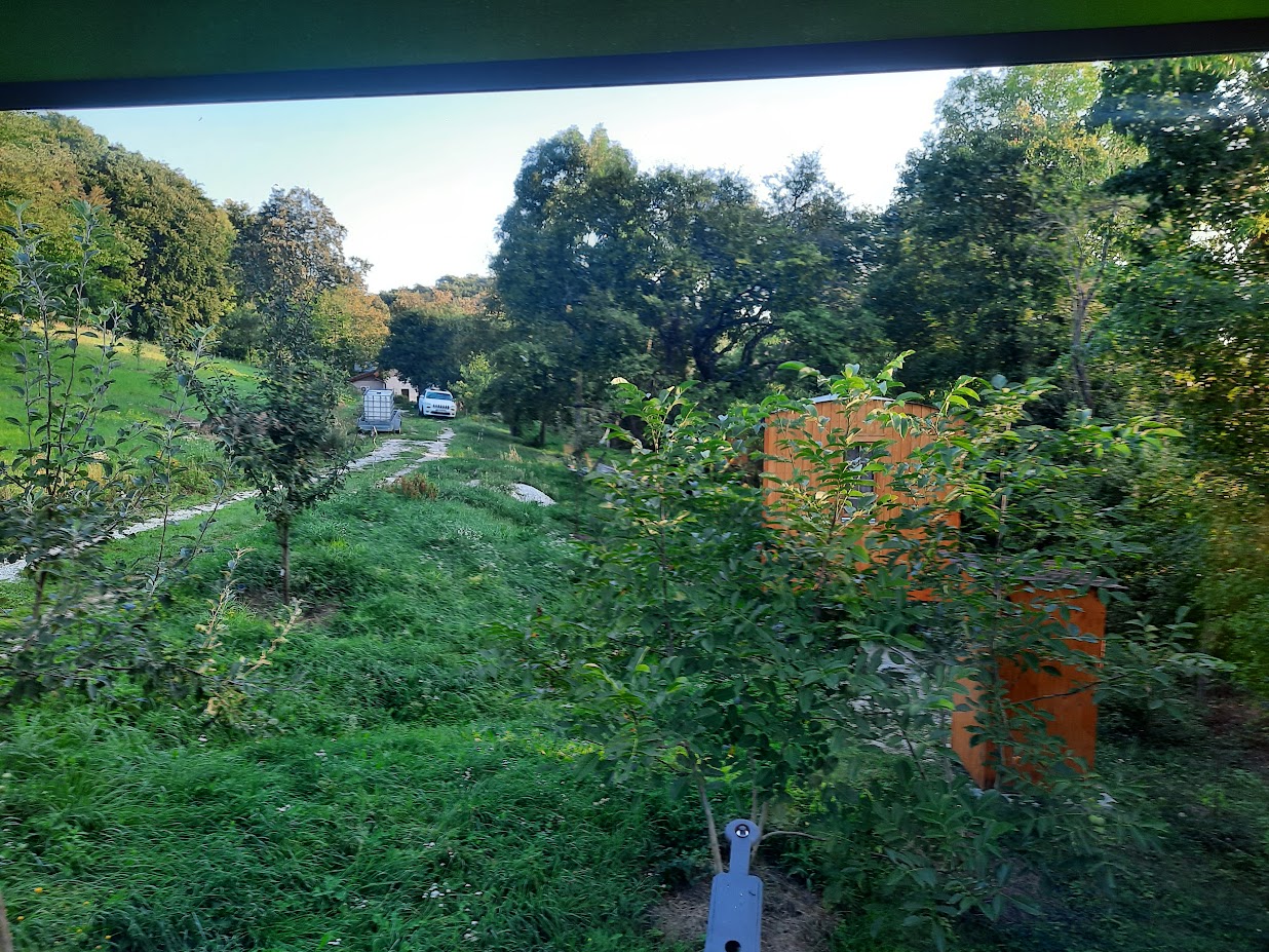 Výhľad z balkóna na zeleň a stromy v okolí ubytovania